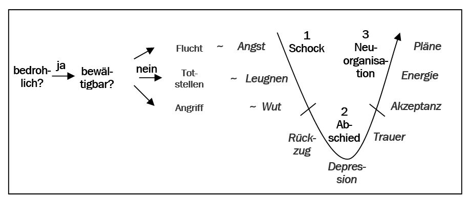 Tal der Tränen - Hilfreich zum Führen in der Krise